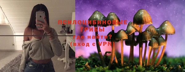 героин Горняк