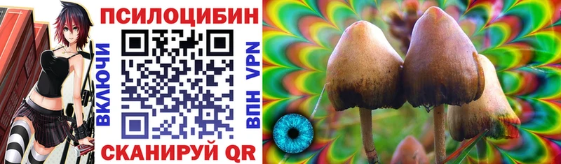 Купить  Ливны  Псилоцибиновые грибы Psilocybine cubensis 